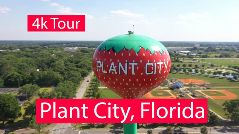 Plant City Promo